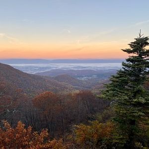 Meet your Posher, Anahithol